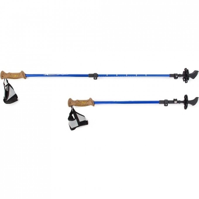 Раздвижные трехсекционные палки для скандинавской ходьбы LARSEN Extreme 297 991